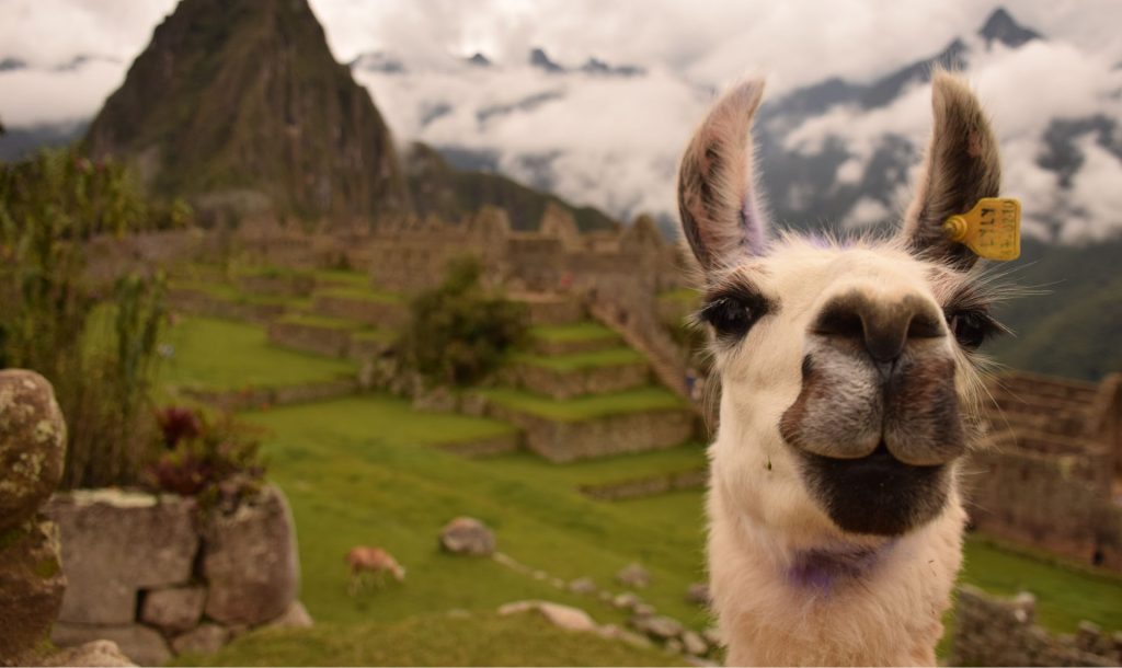 como llegar machu picchu, transporte cusco machu picchu, ollantaytambo - camino inca, trekking machu picchu