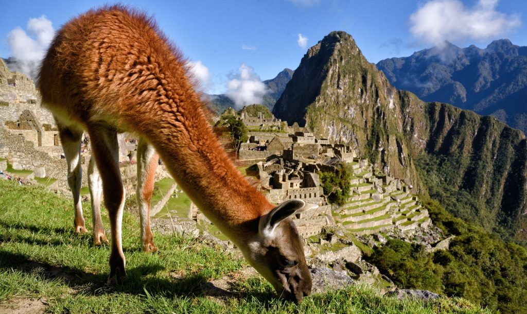 como llegar machu picchu, transporte cusco machu picchu, ollantaytambo