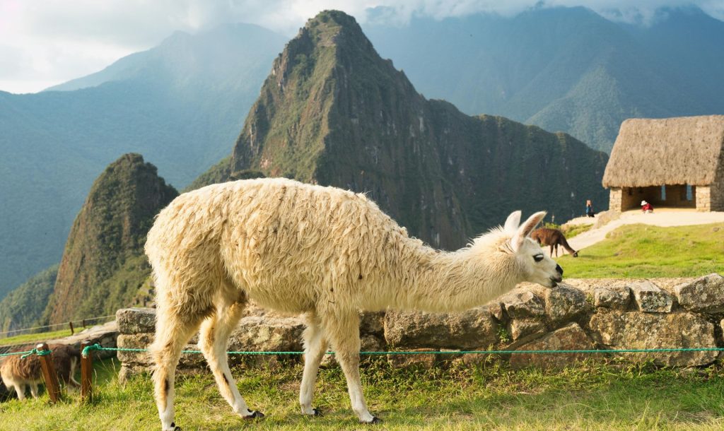 como llegar machu picchu, transporte cusco machu picchu, ollantaytambo