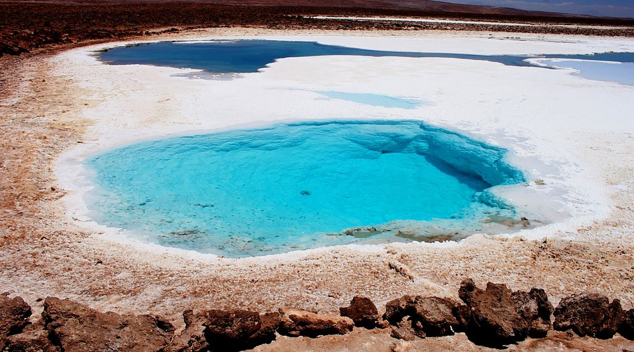 Atacama Chile: Estrellas Lagunas Altiplánicas y Geysers del Tatio