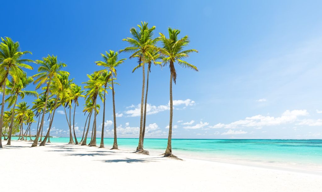 actividades punta cana, excursiones punta cana, isla saona, isla catalina