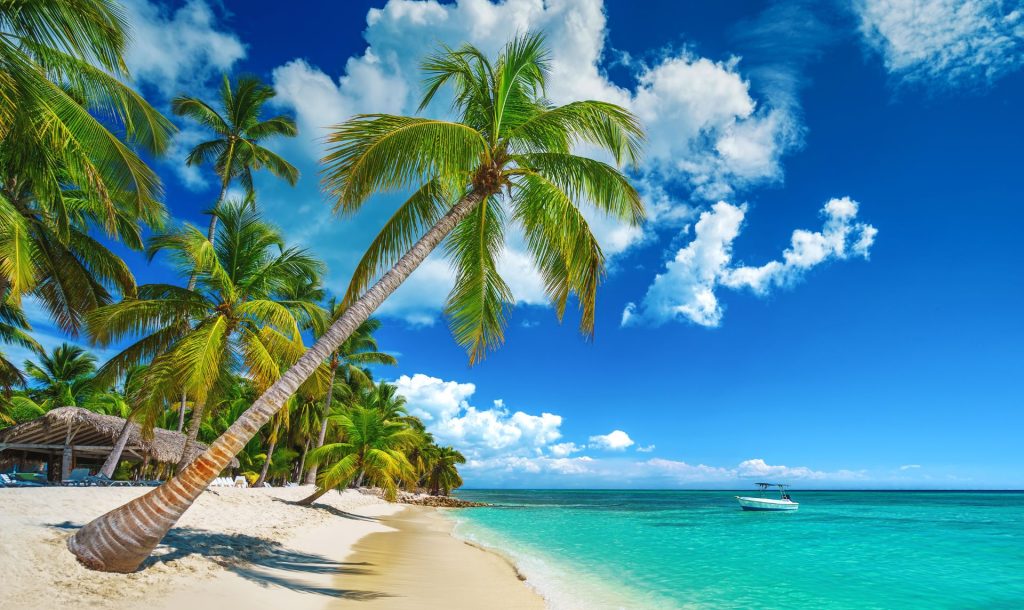 actividades punta cana, excursiones punta cana, isla saona, isla catalina