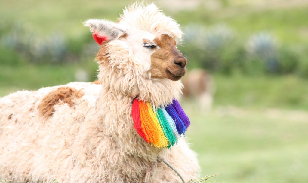 clima cusco, mejor epoca machu picchu, vinicunca