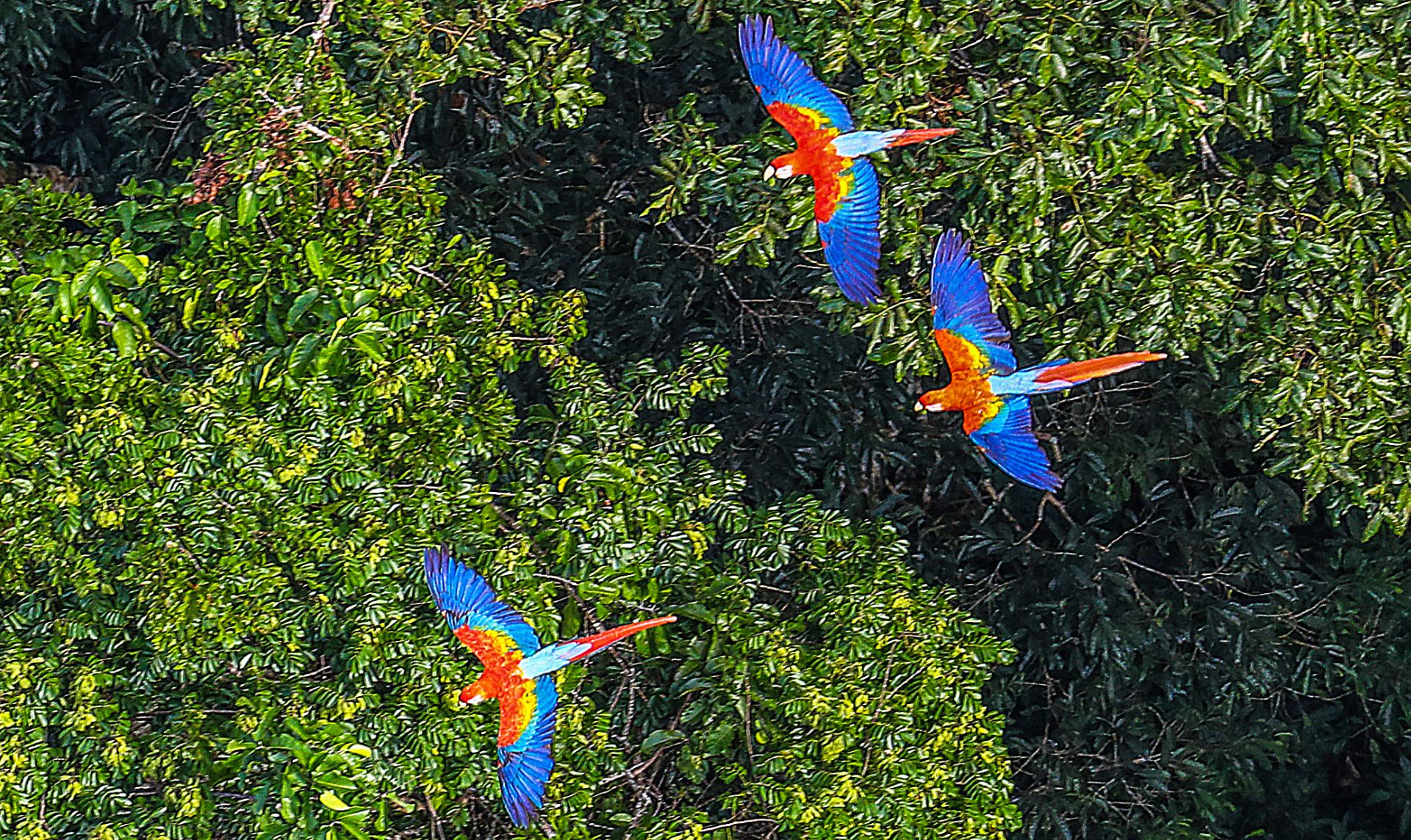 viajes a peru, turismo peru 2026