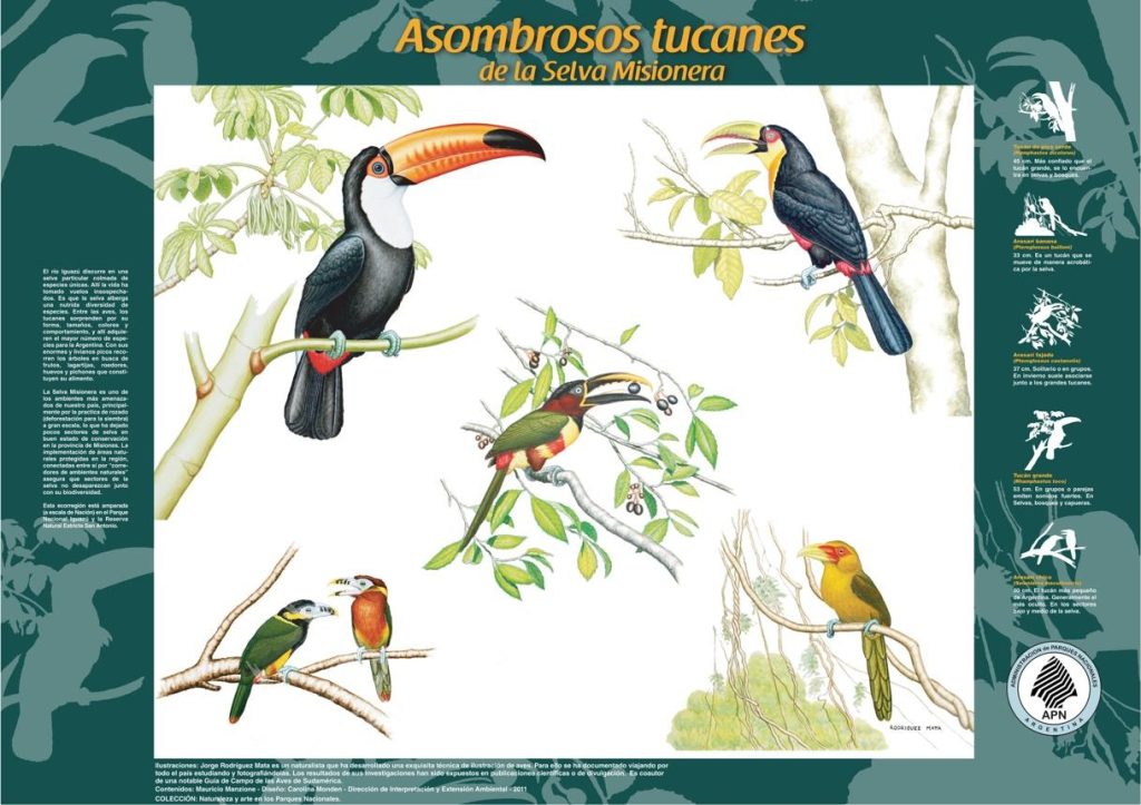 parque nacional iguazu,Iguazú parque nacional,viajar desde Costa Rica a Argentina,Parque Iguazú Argentina,Costa Rica Argentina