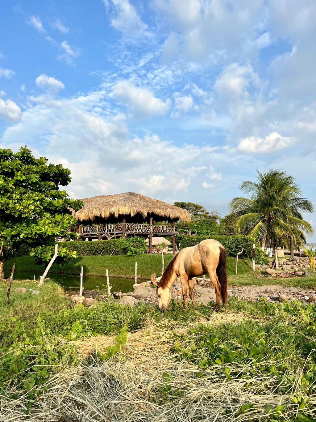 La Libertad El Salvador: playas, surf y experiencias, playa el tunco el salvador