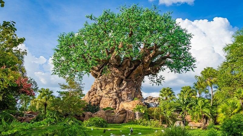 7 días y  6 noches en Disney viajando desde Costa Rica con total seguridad