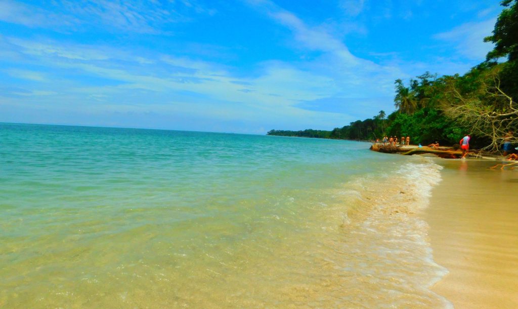 Descubrir cómo llegar a Cahuita desde San José es el primer paso para disfrutar del Caribe. Para un viaje cómodo y directo, la mejor opción es contratar un traslado privado a Cahuita, ideal si inicias tu recorrido desde el aeropuerto San José Cahuita. Si buscas una alternativa económica de transporte San José Cahuita, la ruta en bus San José Cahuita te conectará eficientemente pasando por el trayecto de Limón a Cahuita. Planificar tu traslado de San José a Cahuita te permitirá elegir el mejor transporte a Cahuita Costa Rica y asegurar una excelente experiencia de transporte Caribe Sur Costa Rica.