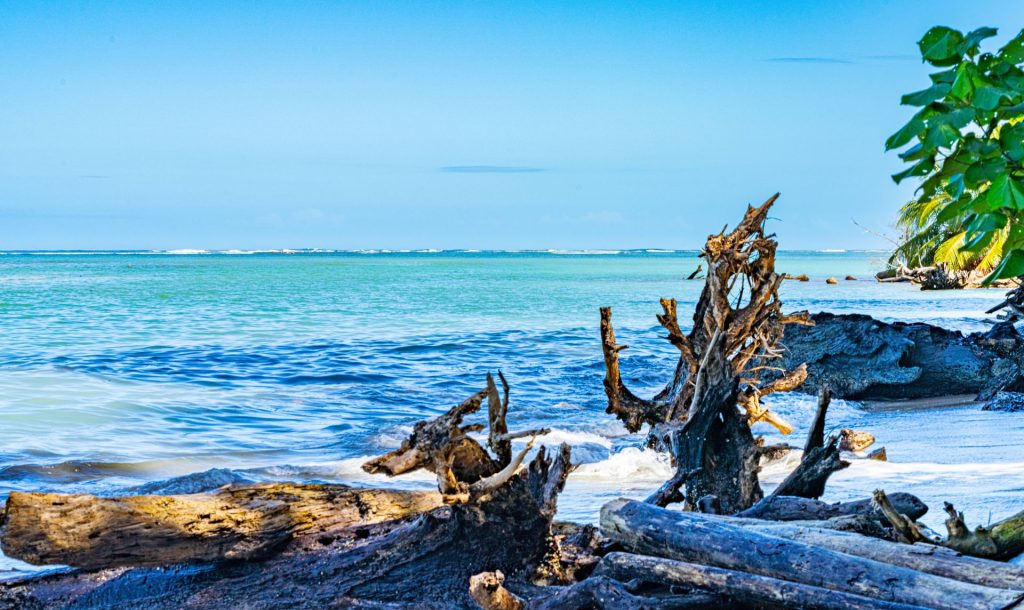 Descubrir cómo llegar a Cahuita desde San José es el primer paso para disfrutar del Caribe. Para un viaje cómodo y directo, la mejor opción es contratar un traslado privado a Cahuita, ideal si inicias tu recorrido desde el aeropuerto San José Cahuita. Si buscas una alternativa económica de transporte San José Cahuita, la ruta en bus San José Cahuita te conectará eficientemente pasando por el trayecto de Limón a Cahuita. Planificar tu traslado de San José a Cahuita te permitirá elegir el mejor transporte a Cahuita Costa Rica y asegurar una excelente experiencia de transporte Caribe Sur Costa Rica.